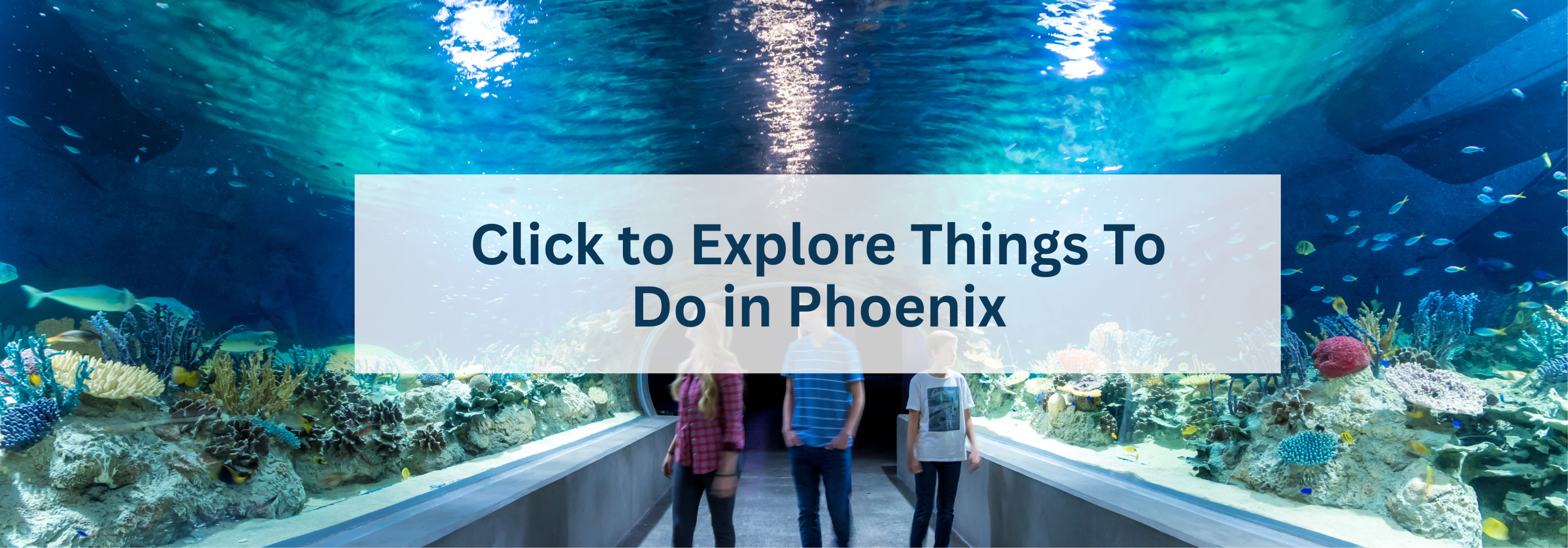 Click to Explore Things To Do in Phoenix